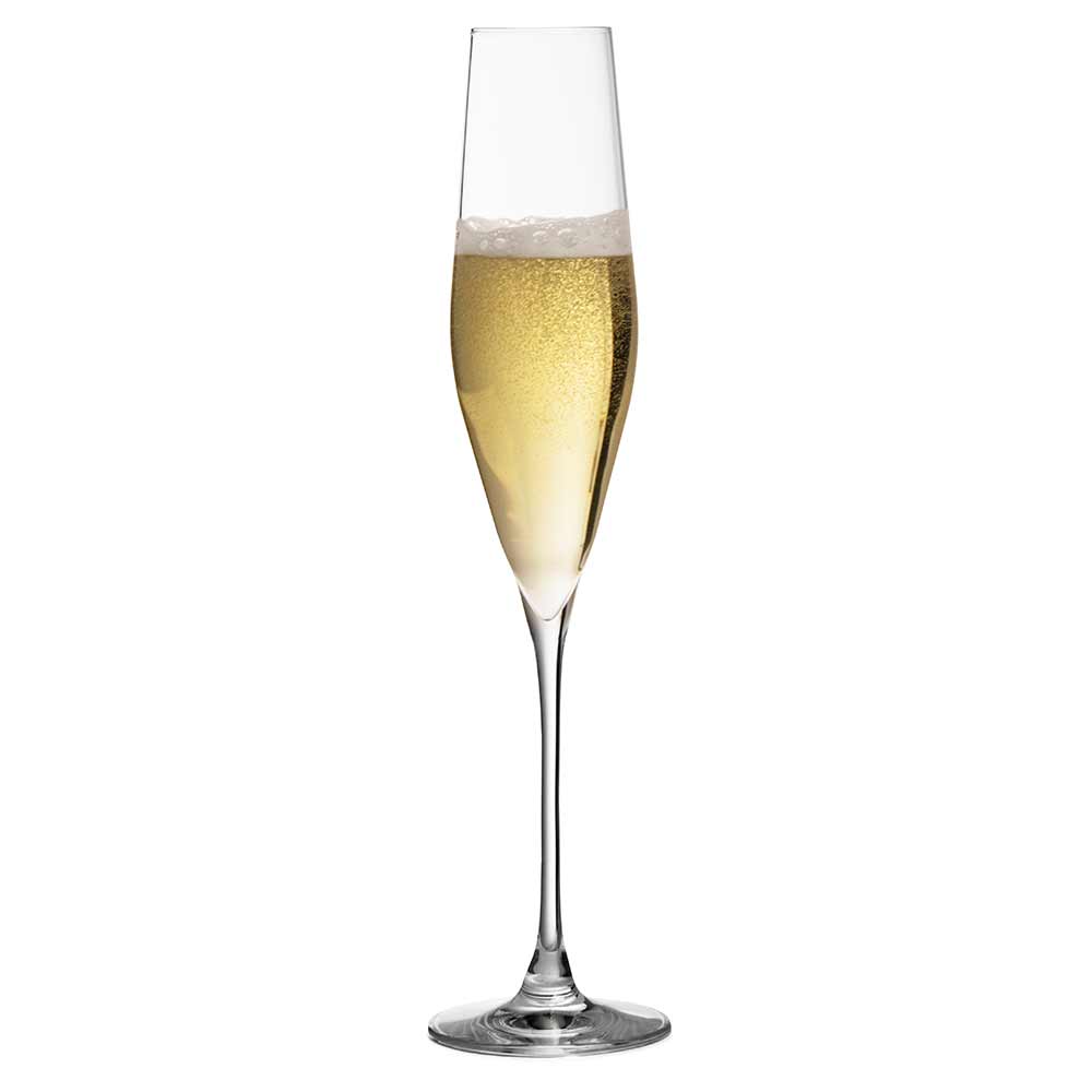 Copa de champán de cristal Bacci de 19 cl
