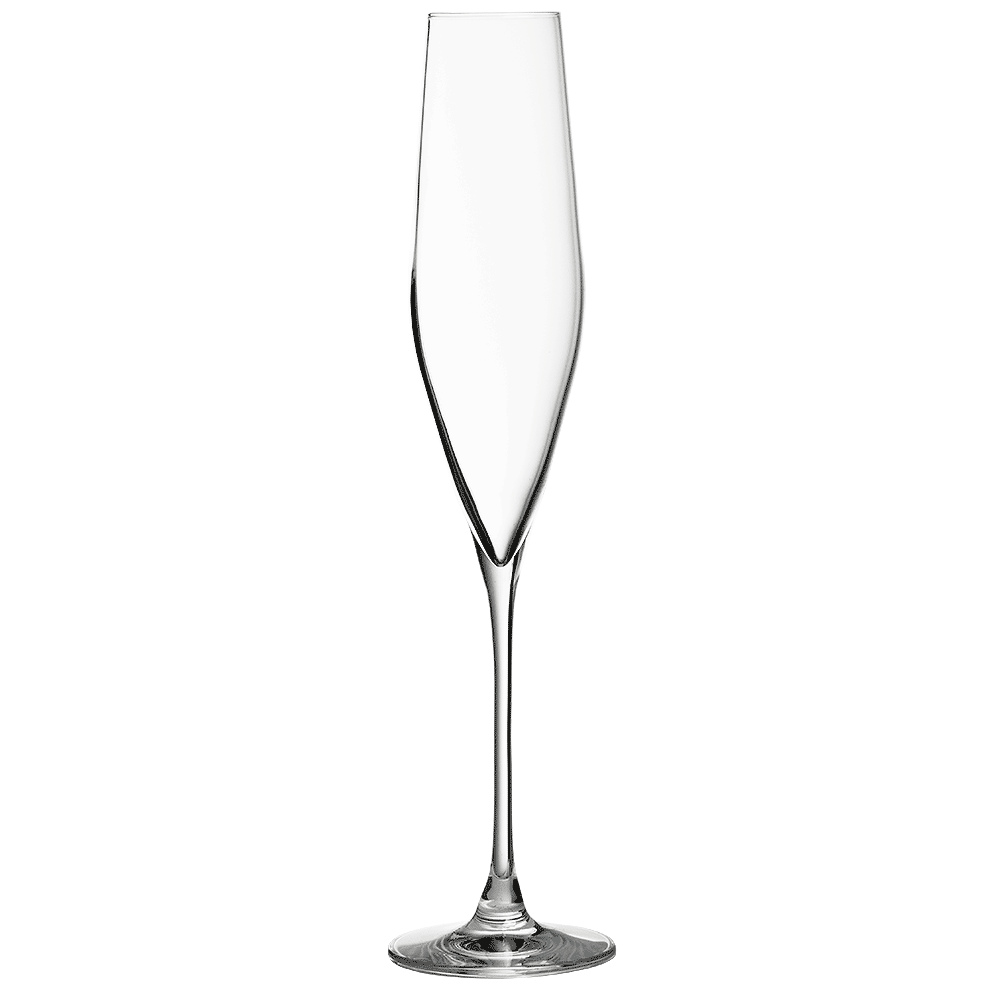 Copa de champán de cristal Bacci de 19 cl