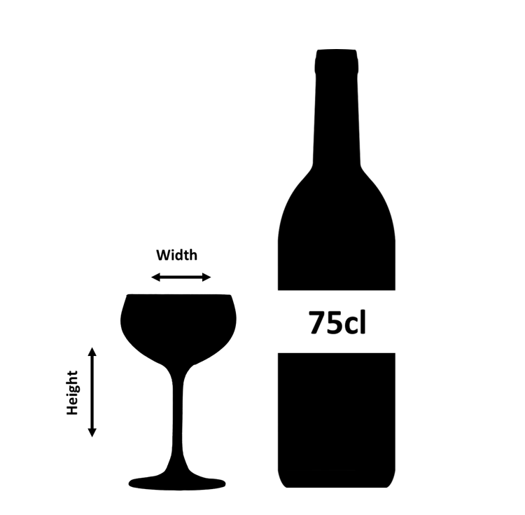 Retro Optic Champagne Glass Coupe 21cl- Box 4